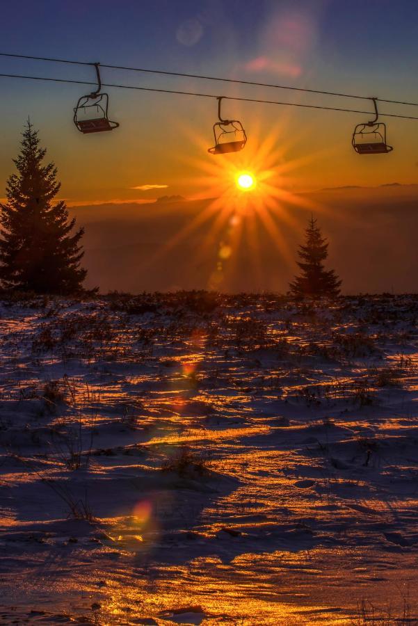Milmari Resort M16 Markovic Kopaonik Ngoại thất bức ảnh